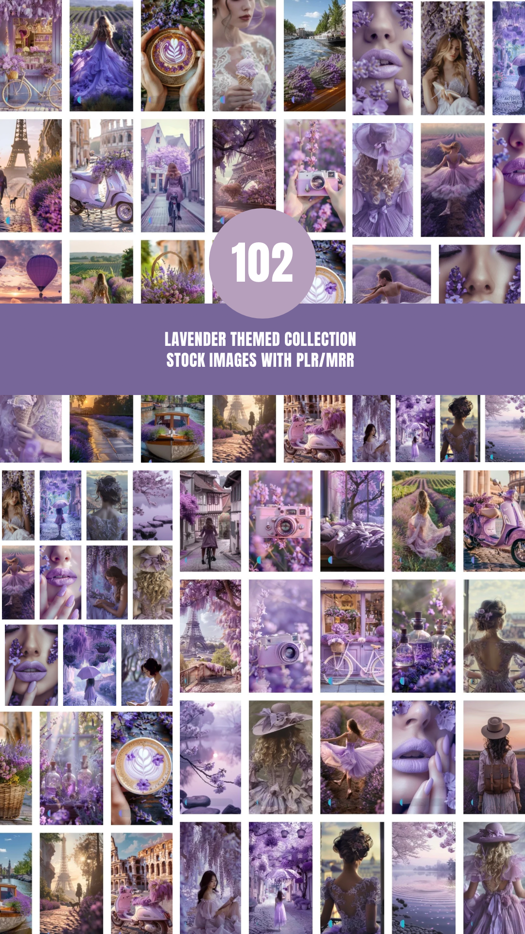 Lavender Themes Collection 102 Stock Images PLR/MRR